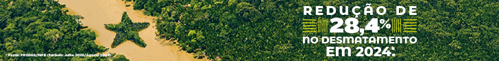 Governo do Estado - Banner Desmatamento