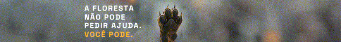 Governo - Queimadas - 10-10-2025